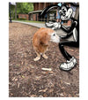 Lefty around town premium postcards